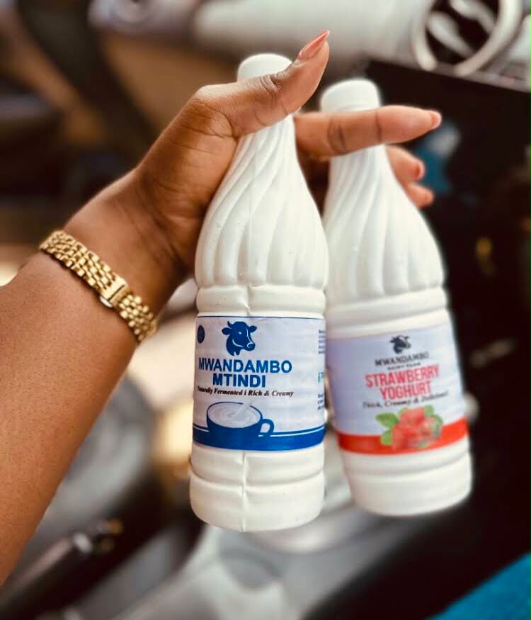 Mtindi / Sour Milk 500ml