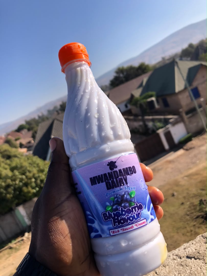 Blueberry Yoghurt